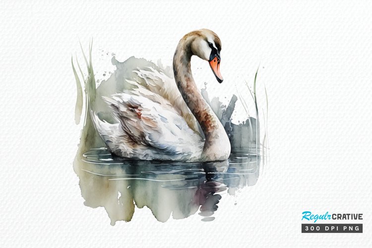 Watercolor Swan PNG Clipa