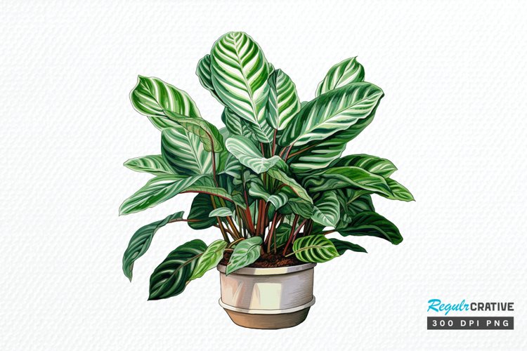 Sublimation Prints Image 5