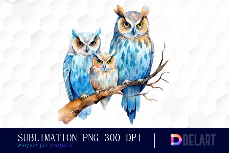 Watercolor Family Of Three Owls Sublimation Clipart