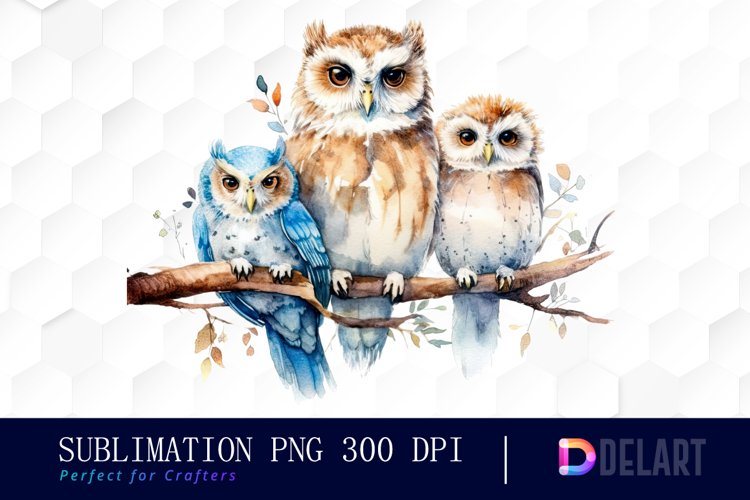 Owl Clipart Image 12