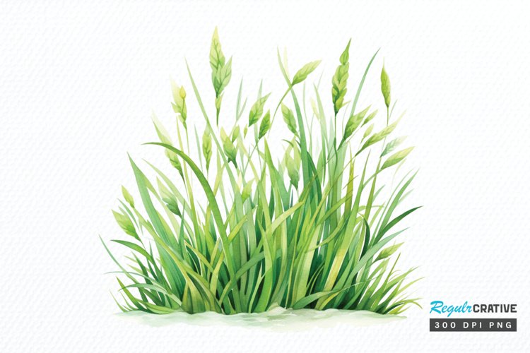 Grass Clipart Image 24