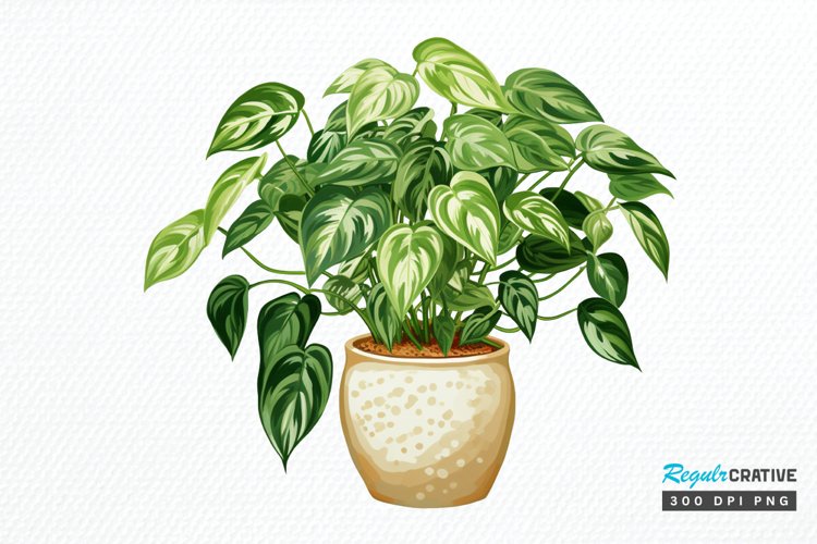 Sublimation Prints Image 17