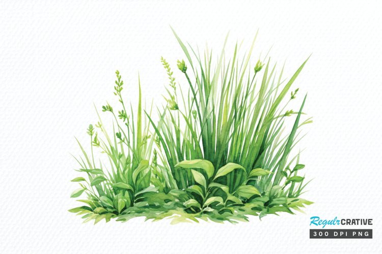 Grass Clipart Image 8