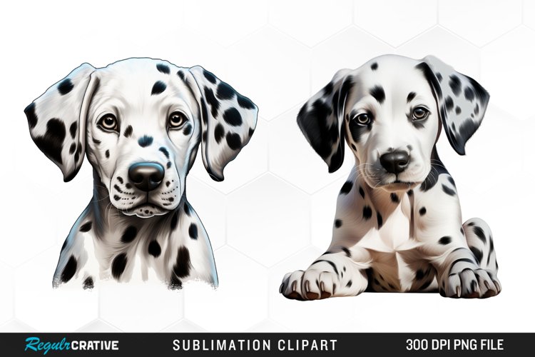 Dalmatian Clipart Image 14