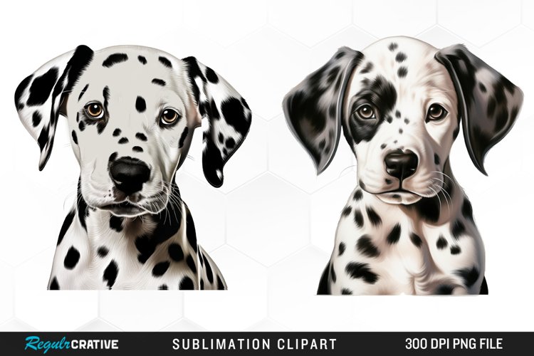Dalmatian Clipart Image 11