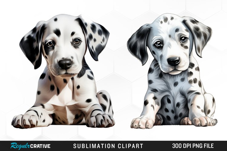 Dalmatian Clipart Image 17