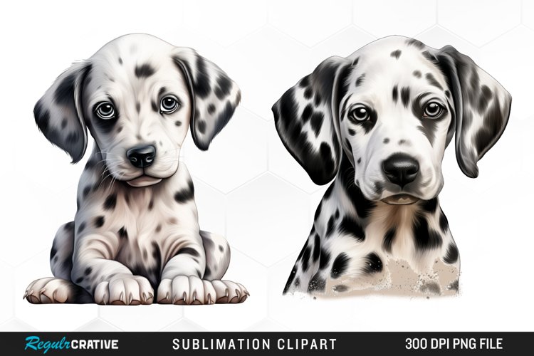 Dalmatian Clipart Image 18