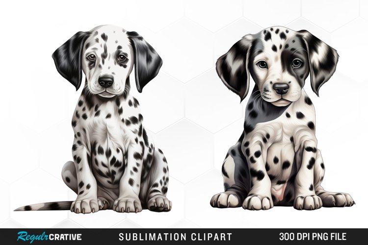 Dalmatian Clipart Image 16