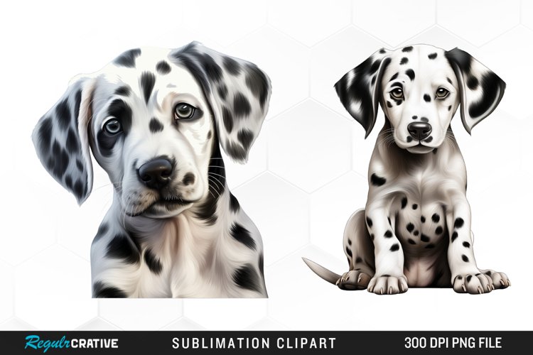 Dalmatian Clipart Image 20