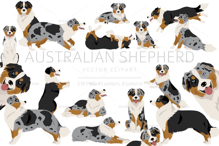 Australian Shepherd dog clipart