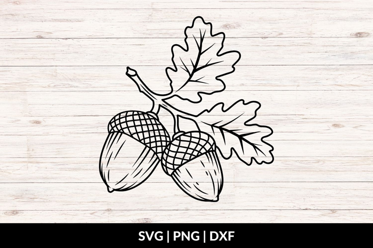 Acorn Branch SVG, Acorn Clipart