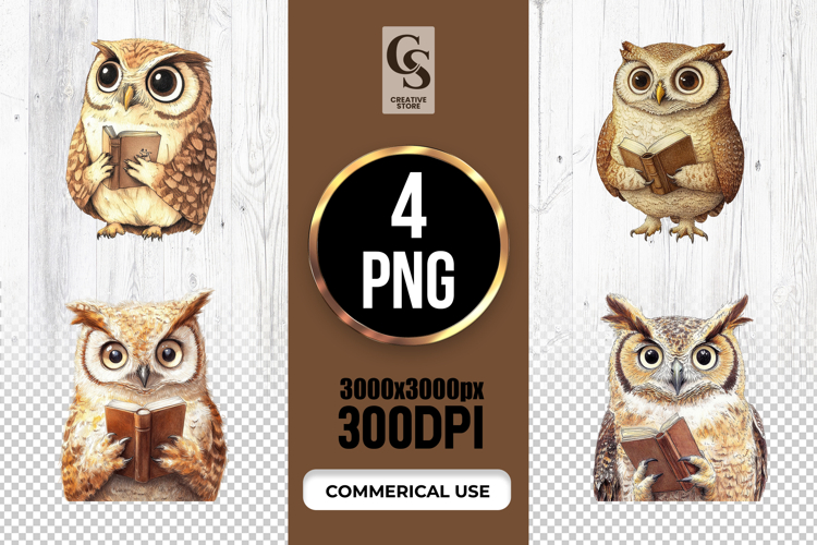 Owl Png Image 3