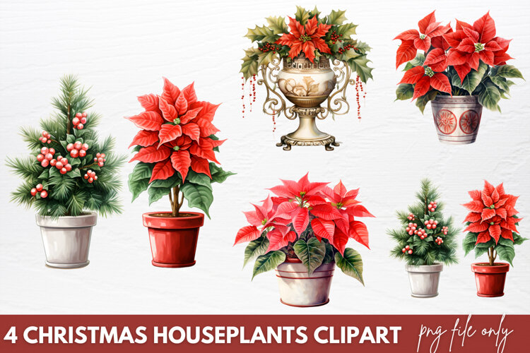 Christmas Houseplants Clipart PNG example image 1