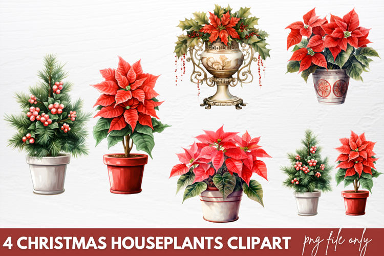 Christmas Houseplants Clipart PNG