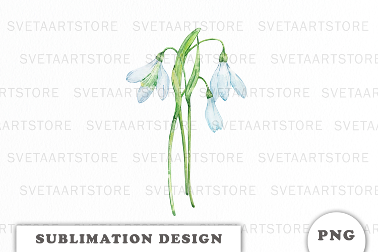 Watercolor Snowdrop Flowers Bouquet png