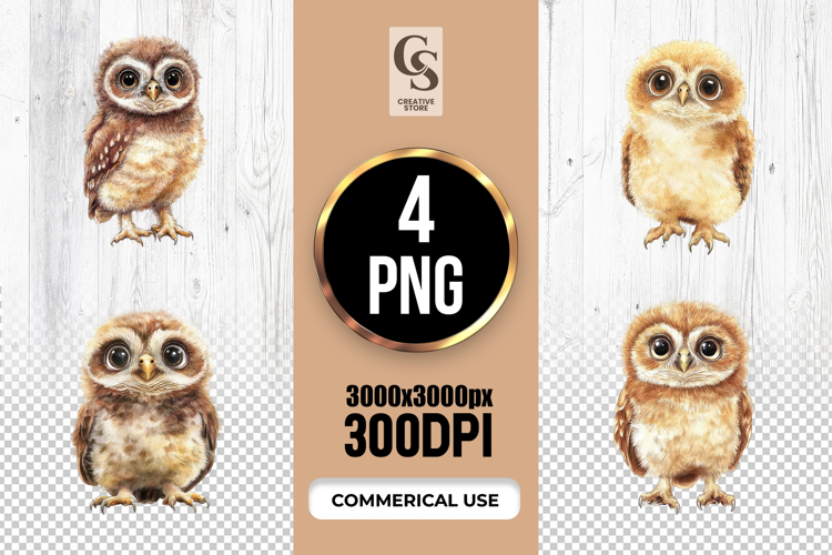 Owl Png Image 23