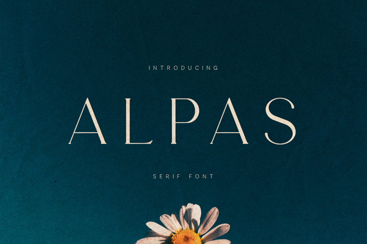 Serif Typography Image 4