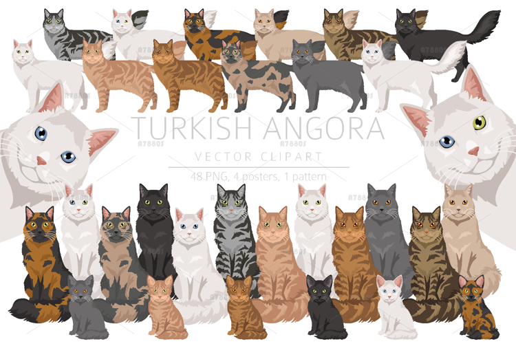 Blue Eyes Clipart Image 16
