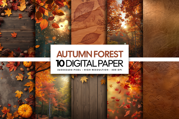 Autumn Forest Digital Paper example image 1
