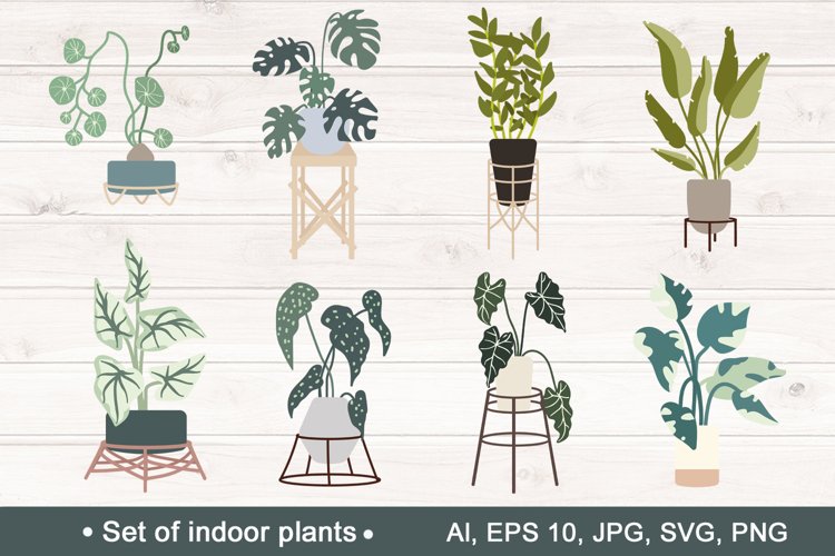 Monstera Clipart Image 24