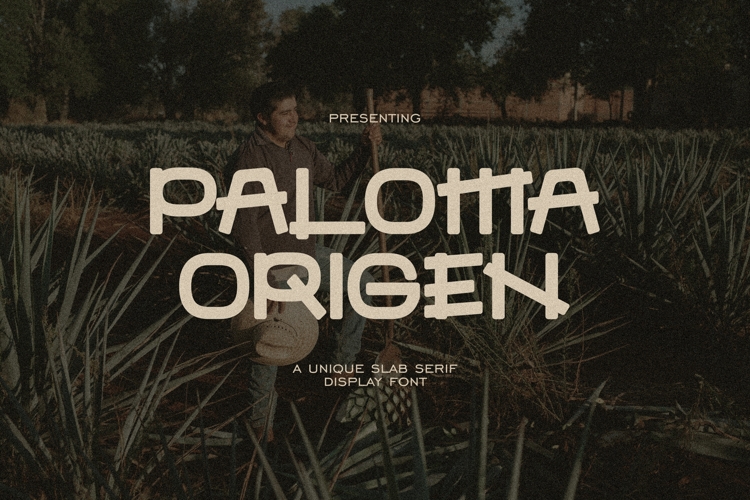 Paloma Origen - Handdrawn Vintage Font