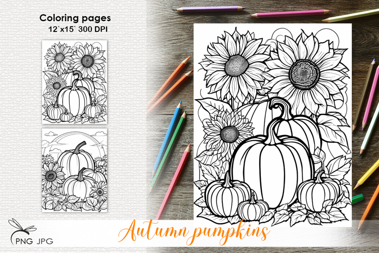 Autumn pupkins|Coloring page