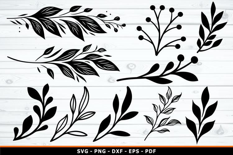 Leaves SVG, Branches SVG, Leaf Silhouette SVG