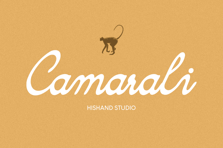 Tropical Fonts Image 10