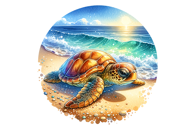 Cute Turtle Clipart Image 14