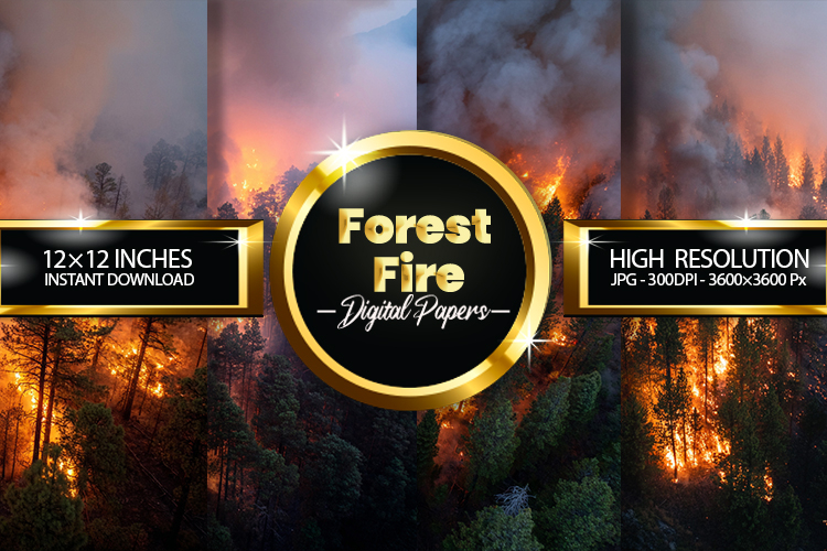 Forest Clipart Image 9