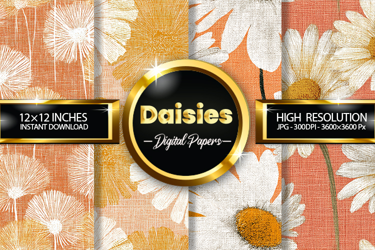 Daisies Clipart Image 13