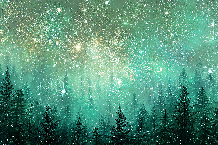 A serene forest under a starry night sky with snowflakes