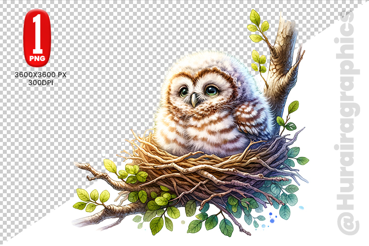 Owl Clipart Image 11
