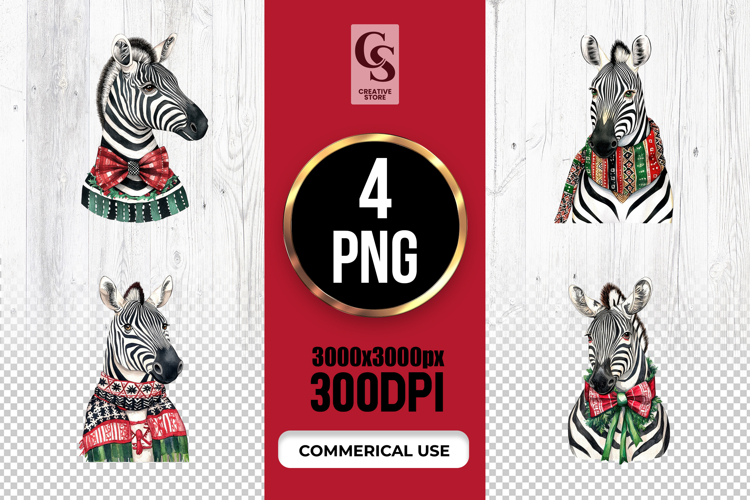 Zebra Clipart Image 14