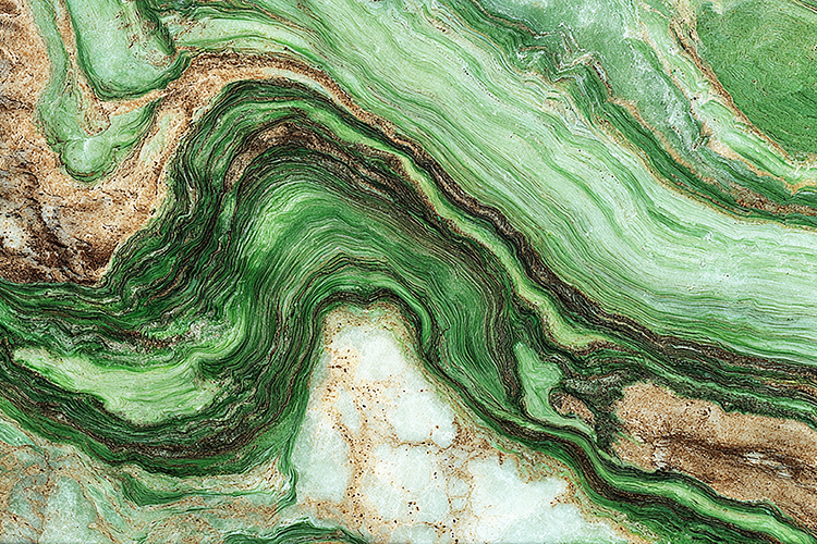 Green Texture Image 10