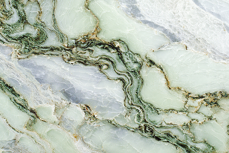 Green Texture Image 4