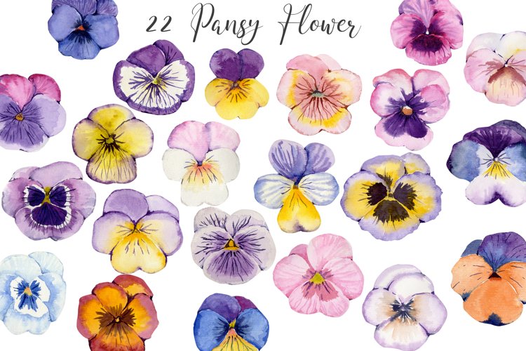 Flower Clipart Image 9
