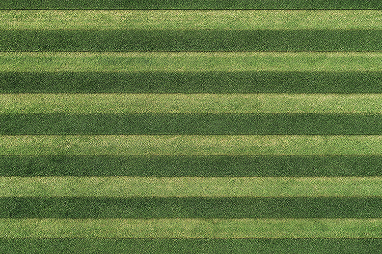 Striped Green Grass Field Texture Background