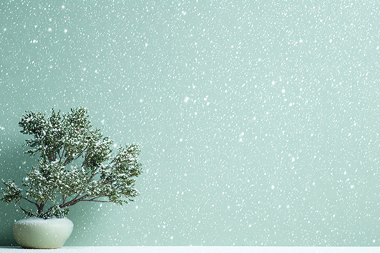 A small potted tree sits on a white surface against a light