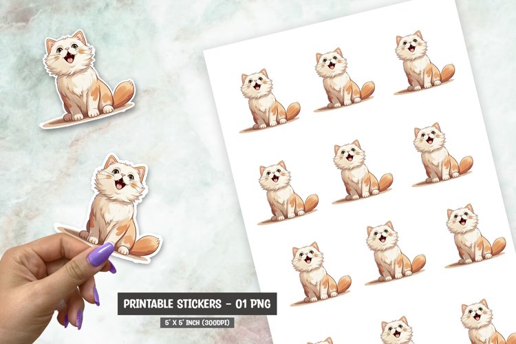 Cute cat sticker, funny cat sticker png