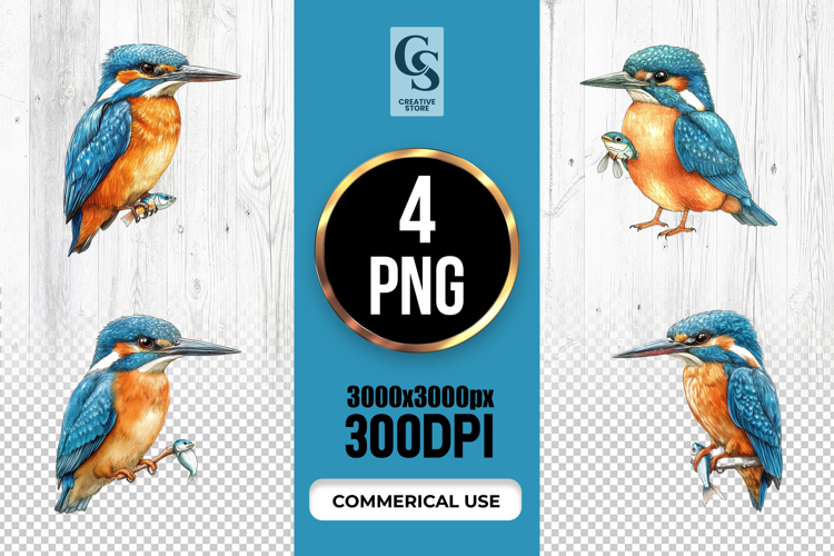 Watercolor Kingfisher Clipart Sublimation PNG