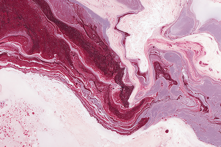 Pink Burgundy Marble Swirl Texture Art