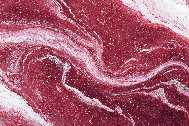 Meat Texture Image 2