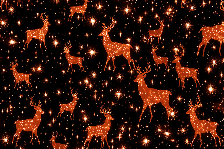 Holiday Background Image 8