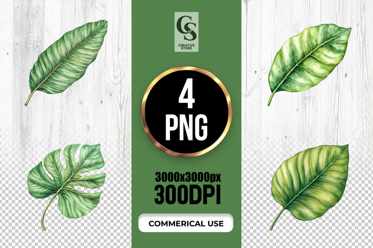 Monstera Leaf Clipart Image 10