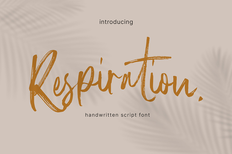 Lettering Schriftarten Image 2