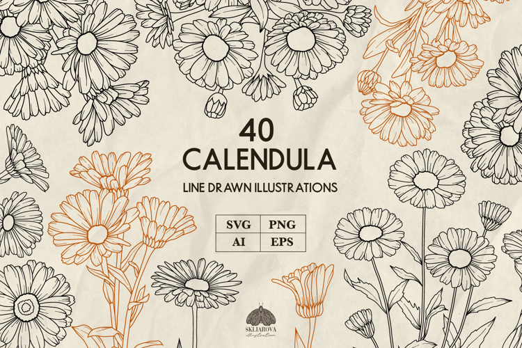 Calendula line art collection Svg Png Eps