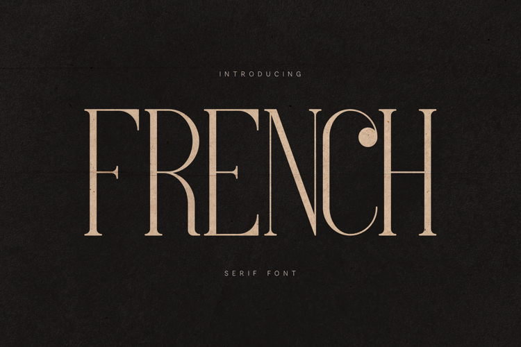 French Elegant Modern Serif Font