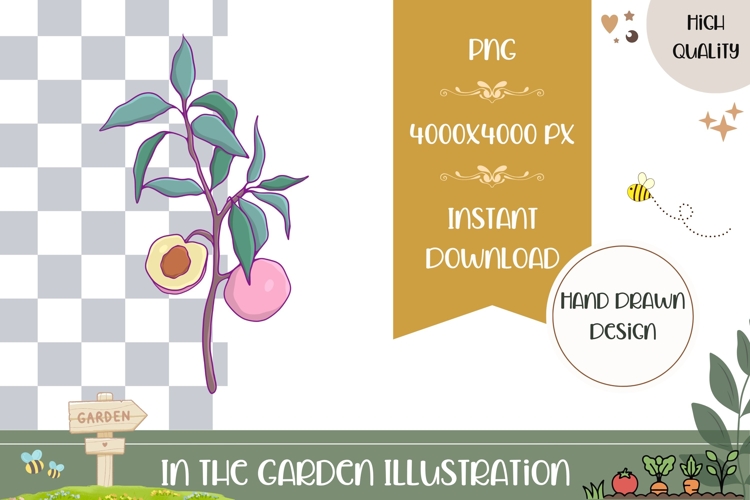 Peach Illustration Image 18