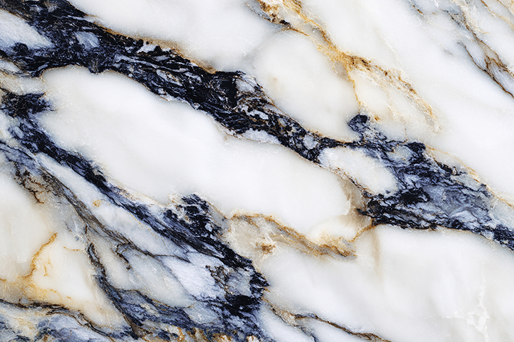 A marble surface with intricate black & white
